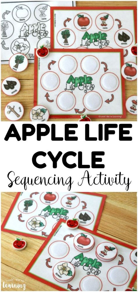 Apples Activities, Life Cycles Preschool, Sequencing Activities Kindergarten, Tree Life Cycle, Apple Kindergarten, Apple Life Cycle, Science Centers, Life Cycles Activities, Apple Preschool