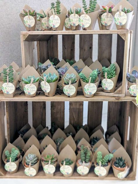 Rustic-Boho Baby Shower | CatchMyParty.com Cactus Party Favors, Rustic Party Favors, Kaktus Dan Sukulen, Baby Shower Boho, Babyshower Party, Idee Babyshower, نباتات منزلية, Cactus Party