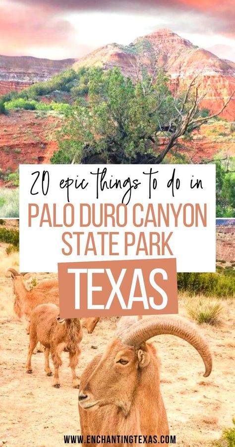 20 Epic Things to do in Palo Duro Canyon State Park Texas Texas Hiking, Palo Duro Canyon State Park, Caprock Canyon State Park, Texas Weekend Getaways, Texas Attractions, Texas Road Trip, Texas Travel Guide, Camping In Texas, Southwest Travel