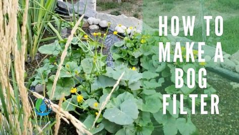 How To Make A Bog Filter - Backyard Water Garden Diy Pond Bog Filter, Bog Pond Filter, Pond Bog Filter Diy, Bog Filters For Ponds Diy, Homemade Pond Filter, Bog Filters For Ponds, Pond Filter Diy, Bog Filter, Pond Ecosystem