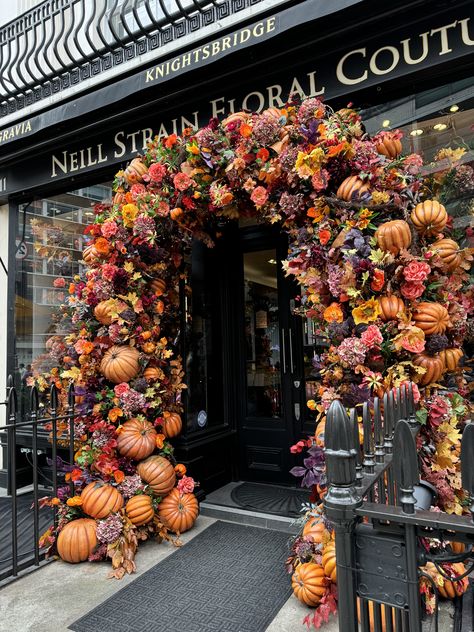 🍂✨ Our Belgravia boutique is dressed for Autumn! This display explores rich colours, pumpkins, and earthy textures that bring the warmth and beauty of the season to life. 🎃🍁 Each detail is thoughtfully crafted to capture the magic of Fall.🍂✨ Pumpkin Archway, Luxury Florists, Autumn Display, Harvest Thanksgiving, Diy Fall Wreath, Fortnum And Mason, Halloween Displays, Kew Gardens, Christmas Store