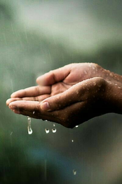 Gotas de esperanza,,,, Farm Life Photography, Rain Umbrella, Ralph Waldo Emerson, Greek Quotes, Kiss You, Farm Life, Rainy Days, The Rain, Rainy Day