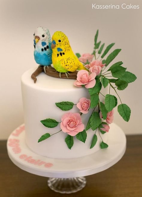 Cakes With Birds On Them, Parrot Cake, Bird Cakes Birthday, Bird Theme Cake, Bird Birthday Cake, Bird Cake Ideas, Bird Cake, Sea Cakes, Fiesta Tropical