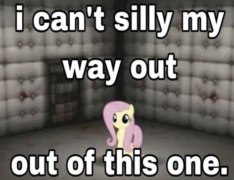 Padded Room, Will Toledo, Funny Mean Quotes, Mlp Memes, My Little Pony Poster, Insane Asylum, Emo Memes, Girl Memes, Silly Girls