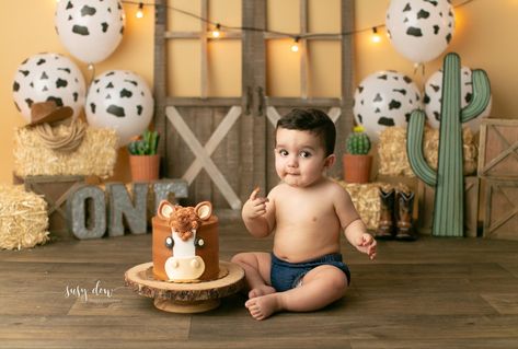 Horse Cake Cowboy Cake Smash First Birthday Western Theme Cake Smash, Cowboy Theme Cake Smash, Western Cake Smash Photography, My First Rodeo Birthday Cake Smash, Cow Smash Cake Photoshoot, Smash Cake Cowboy, First Rodeo Birthday Smash Cake, Bull Smash Cake, Smash Cake Farm Theme