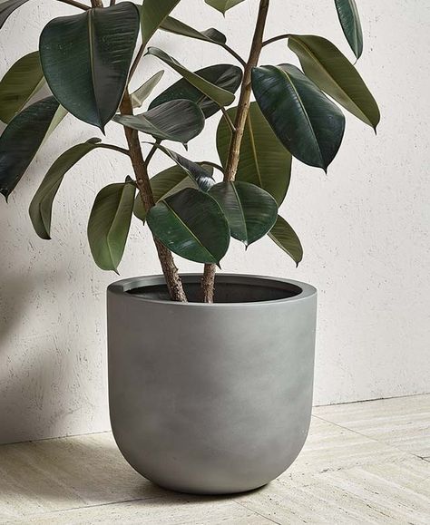 Style wherever Grey Floorboards, Gray Planter, White Terrazzo, Plant Accessories, Plant Style, Apartment Bedroom Decor, Concrete Pots, Apartment Bedroom, Indoor Plant Pots