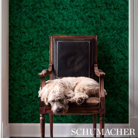 Xanadu - Malachite Wallcovering | Schumacher Xanadu Wallpaper, Wallpaper In Powder Room, Malachite Wallpaper, Wallcovering Pattern, Powder Room Wallpaper, Schumacher Wallpaper, Ceiling Murals, Animal Print Wallpaper, Allover Pattern