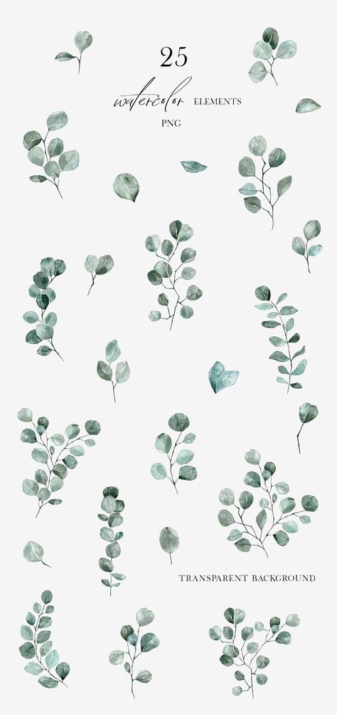 Leaf Invitations, Greenery Invitation, Foliage Leaves, Green Invitations, Wedding Invitations Leaves, Minimal Wedding Invitation, Card Png, Eucalyptus Wedding Invitation, Leaves And Branches