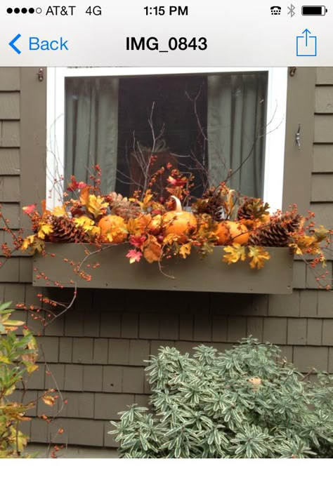 Fall window box: I have pinecones & pumpkins! This is my favorite so far :) Fall Containers Planters, Fall Flower Boxes, Window Garden Ideas, Fall Window Boxes, Fall Windows, Outside Fall Decor, Window Garden, Fall Containers, Window Box Flowers