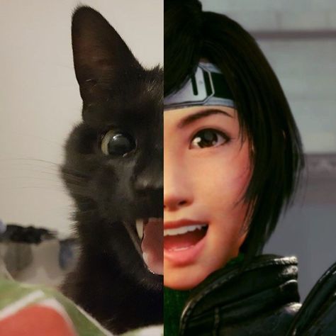 Yuffie Kisaragi Pfp, Yuffie And Vincent, Yuffie Kisaragi Icons, Ff7 Pfp, Yuffie Ff7, Final Fantasy Crisis Core, Yuffie Kisaragi, Final Fantasy Funny, Rat Dog