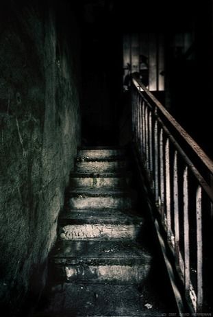 Just remember, if you stare too long into the darkness, eventually you'll start to wonder what might be staring back. Widow Aesthetic, Darkness Falls, Spooky Places, Dark Images, Scary Places, Stairway To Heaven, Haunted Places, The Basement, Dark Places