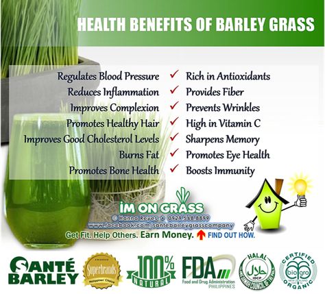 Health benefits of barley grass