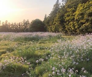 43 images about cottageCORE on We Heart It | See more about cottagecore, aesthetic and flowers Dry Creek, Cottagecore Aesthetic, Alam Yang Indah, Nature Aesthetic, Pretty Places, Flower Field, Green Aesthetic, Driveway, In The Woods