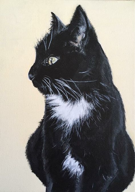 Acrylic paint pet portrait on canvas. Black and white cat, Liqourice. www.facebook.com/abibartlett.petportraits Black And White Cat Portrait Tattoo, Black And White Cat Sketch, Black Cat Painting Acrylic Easy, Cat Black And White Drawing, Black And White Cat Painting, Black And White Cat Drawing, Black And White Cat Art, Watercolour Cats, Cat Portrait Tattoos