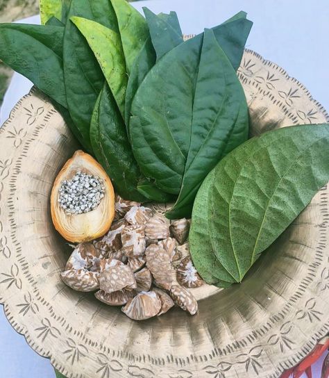 Betel Leaves(Paan) and Areca nuts(Tamul).Traditionally Assamese Assam Food, Assamese Aesthetic, Assamese Food, Assamese Culture, Areca Nut, Variety Food, South Asian Aesthetic, Indian Street Food Recipes, Festival Wishes