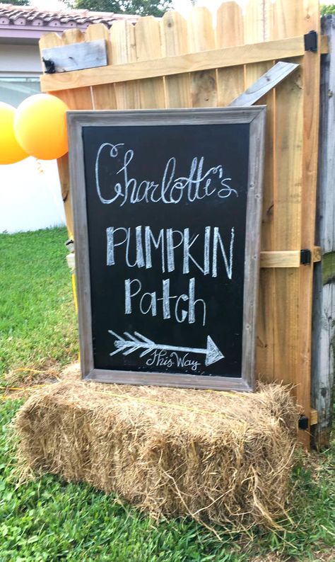 As it came closer to planning Charlotte's 1st birthday party, it was no question that it would be Fall themed. A pumpkin patch was per... Pumpkin Patch First Birthday, Trendy Party Themes, Pumpkin Patch Birthday Party, Fall First Birthday, Pumpkin Patch Birthday, Fall 1st Birthdays, Patch Party, Pumpkin Patch Party, Halloween First Birthday