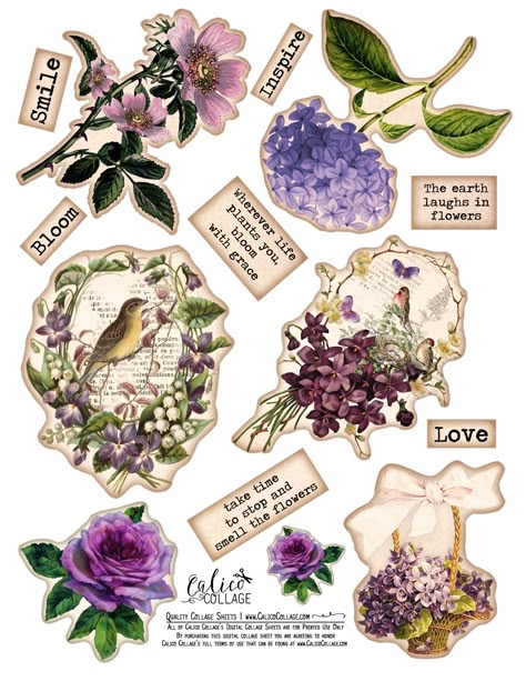 Calico Collage Freebie Vintage Aesthetic Stickers Printables, Free Paper Printables, Free Vintage Printables, Scrapbook Printing, Scrapbook Flowers, Free Printable Art, Scrapbook Book, Scrapbook Stickers Printable, Bullet Journal Design Ideas