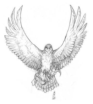 The pose I want for my hawk tattoo Crip Tattoos, Hawk Tattoos, Painting Design Ideas, Hawk Tattoo, Tattoo Meanings, Painting Girl, Chest Piece Tattoos, Black Eagle, Eagle Tattoo