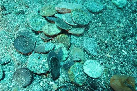 Punic coins retrieved from the Mediterranean sea near Pantelleria, Sicily. Description from freerepublic.com. I searched for this on bing.com/images Irish Mermaid, Marine Archaeology, Spanish Treasure, Underwater Ruins, Sunken Ships, Sunken Ship, Sunken Treasure, Skin Diving, Ship Wrecks