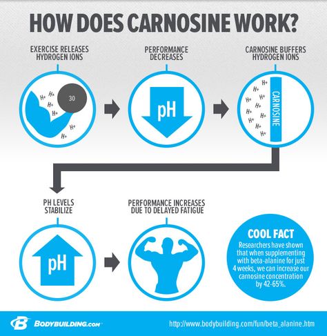 Beta-alanine efficacy is backed by major university and peer-reviewed studies. In reading this article, you will understand how beta-alanine works. You will also learn how to maximize its use and how it can help you safely. Muscular Strength Exercises, Beast Mode Workout, Muscular Strength, Muscular Endurance, Beta Alanine, Energy Supplements, Workout At Work, Nutrition Supplements, Skeletal Muscle