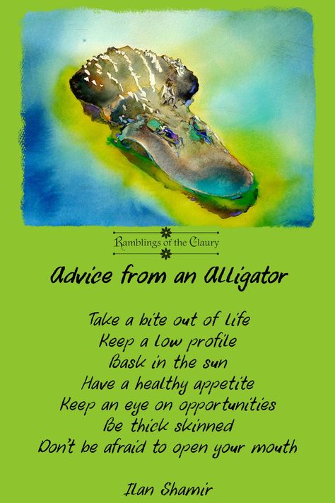 Advice From An Alligator: Take a bite out of life | Keep a low profile | Bask in the sun | Have a healthy appetite | Keep an eye on opportunities | Be thick-skinned | Don't be afraid to open your mouth! #advice #alligator #life #wisdom #humour Alligator Symbolism, Novella Ideas, Animals Meaning, Forest Theme Classroom, Butterfly Spirit Animal, Earth Wisdom, Universe Energy, Fernandina Beach Florida, Spirit Animal Totem