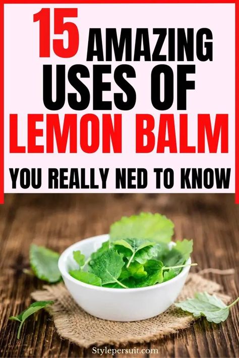 Top 15 Lemon Balm Uses You Must Know Lemon Balm Uses, Lemon Balm Plant, Lemon Balm Tincture, Bug Bites Remedies, Melissa Officinalis, Lemon Balm Tea, Lemon Uses, Candied Lemons, Muffin Batter