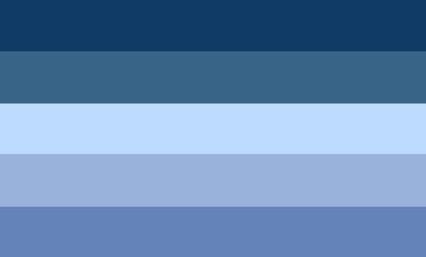 A lesbian flag for lesbians that love the ocean Ace Flag, Create Color Palette, Gender Flags, Winter Color Palette, Gay Flag, Feeling Disconnected, Snow Covered Trees, Lgbt Flag, Lesbian Flag