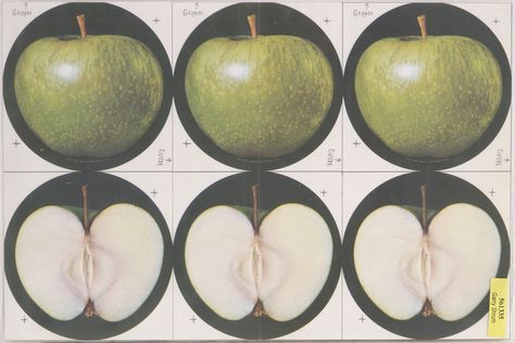 Beatles Apple, Apple Tattoo, Apple Records, Green Apples, New Wall, Green Apple, Photography Inspo, Design Inspo, The Beatles