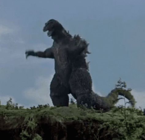 Godzilla Gif, Japanese Gif, King Kong Vs Godzilla, Godzilla 2014, Godzilla Wallpaper, All Godzilla Monsters, Japanese Monster, Cool Monsters, Dancing Gif