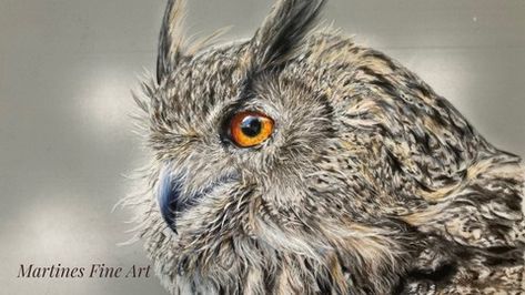 A realistic drawing with colored pencils Drawing With Colored Pencils, Realistic Drawing, Beautiful Owl, Color Pencils, Colored Pencil Drawing, Color Pencil Art, Color Pencil Drawing, Color Pencil, Realistic Drawings