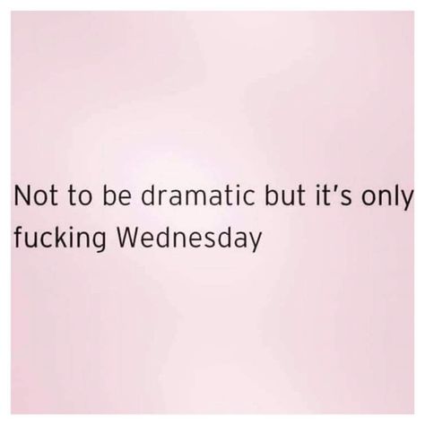 Hello Wednesday, Wednesday Humor, Workplace Humor, Weekday Quotes, Making Cookies, Work Memes, Funny As Hell, Awesome Quotes, Real Life Quotes