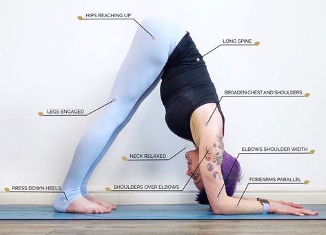 Dolphin Pose: Ardha Pincha Mayurasana – OmStars Dolphin Pose Yoga, Plank Pose Yoga, Pincha Mayurasana, Dolphin Pose, Yoga Information, Yoga Sculpt, Yoga Movement, Plank Pose, Yoga Workouts