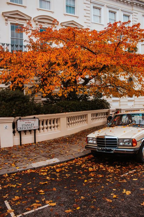 From my London Prints Photography Collection: Notting Hill autumn season. This listing is for a high quality print, unmounted and unframed. The size demonstrated in the listing photography is 5x7 dimensions. Sizes available: 5x7 8x10 (cropped) 8x12 11x15 (cropped) - made to order, will take few more days to deliver 16x20 (cropped) -made to order, will take few more days to deliver Check out my other photos from London collection: https://www.etsy.com/uk/shop/LifechangeArtStudio Because of the va Vintage London Aesthetic, Warm Fall Aesthetic, Fall In London, Fotos Asthetics, Uk Autumn, London Prints, Autumn City, London Autumn, Autumn Street