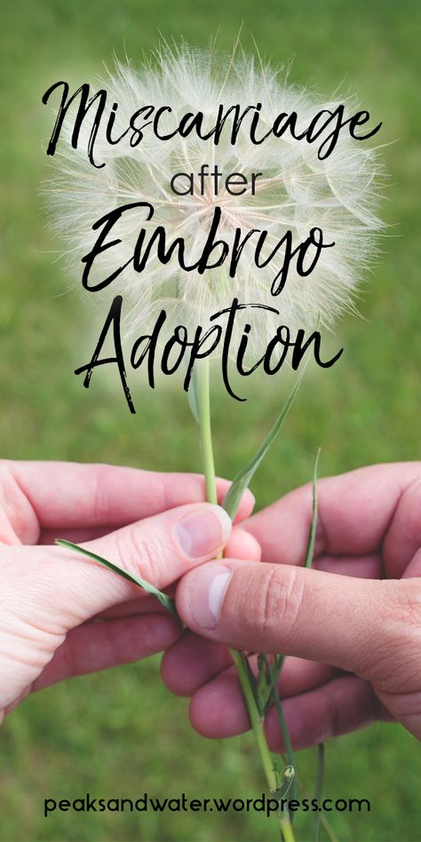 Embryo Adoption Announcement, Embryo Adoption Quotes, Failed Adoption, Ivf Retrieval Day, Embryo Donation, Embryo Adoption, Ectopic Pregnancy Loss, Adoption Announcement, Thy Will Be Done