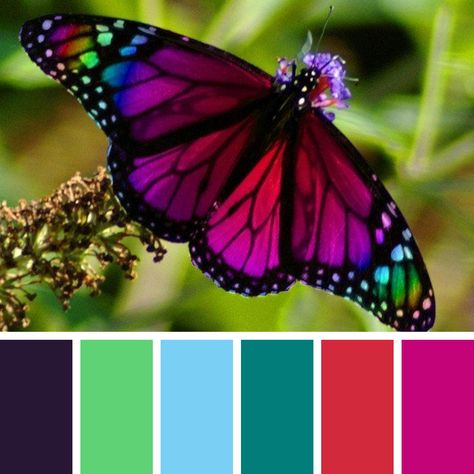 Butterfly Colour Palette, Moth Color Palette, Butterfly Color Palette, Colour Wheel Combinations, Butterfly Palette, Country Watercolor, Bohemian Color Palette, Colors Gradient, Color Wheel Art