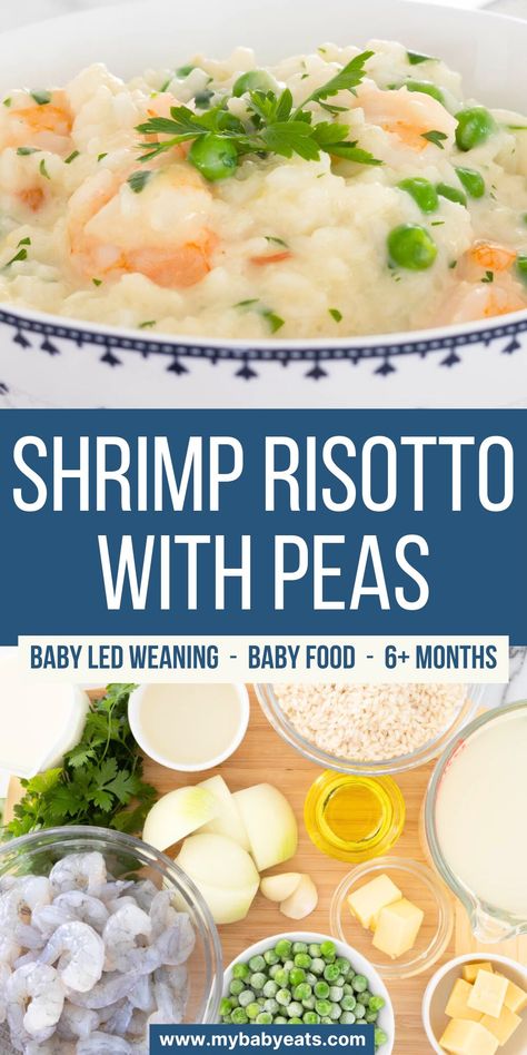 This Shrimp Risotto with Peas is a great baby food recipe! Lower in salt and without the wine commonly found in risottos, this is a baby-friendly risotto option (and better for adults too!) that will save you making multiple meals to suit your family members. Perfect for Baby Led Weaning (BLW) or blending to a puree for younger babies. Find this and more baby food recipes over at My Baby Eats. Peas Baby Food Recipe, Peas Baby Food, Prawn And Pea Risotto, Pea Baby Food, Prawn Risotto, Pine Nuts Pasta, Risotto With Peas, Pea Risotto, Easy Risotto