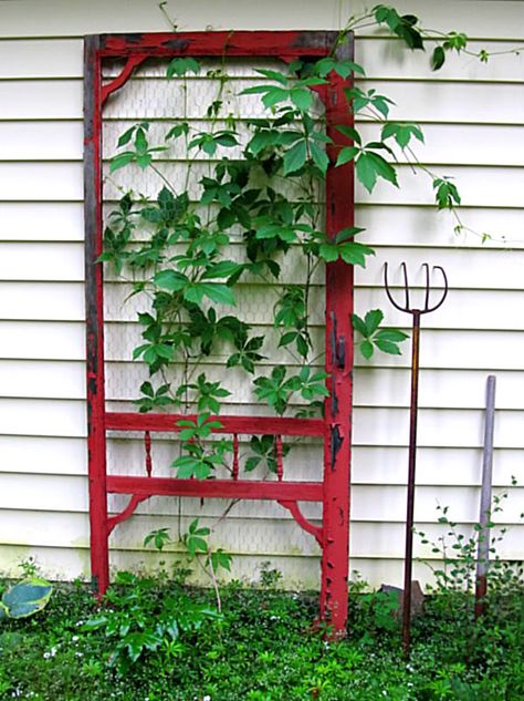 Red Screen Door Trellis (The red is striking against the white wall. Wood screen doors are still pretty cheap to buy. Wood trim from a big-box hardware store could add detail to the plain screen door. Then all you need is paint!) Door Trellis, Old Screen Doors, Diy Screen Door, Upcycle Garden, Red Garden, Garden Junk, Have Inspiration, Old Door, Old Doors