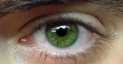 Winx Cosplay, Eye Photography, Aesthetic Eyes, Pretty Eyes, Green Aesthetic, An Eye, Bright Green, Beautiful Eyes, Green Eyes