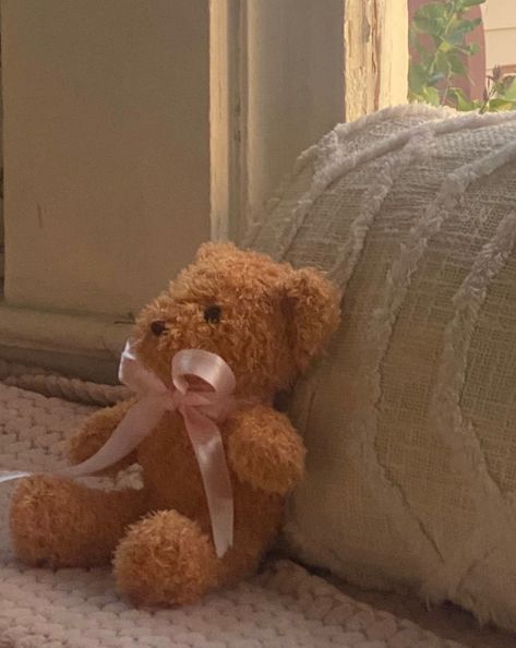 Brown teddy bear with bow, bay window, You Never, Teddy Bear, Ribbon, Internet, Energy, Tumblr, Memes, Pink, Art