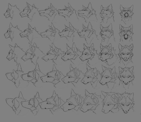 Wolf Head Drawing, Wolf Sketch, Canine Drawing, Wolf Drawing, Canine Art, Body Reference Drawing, Wolf Head, Animation Reference, Concept Art Drawing