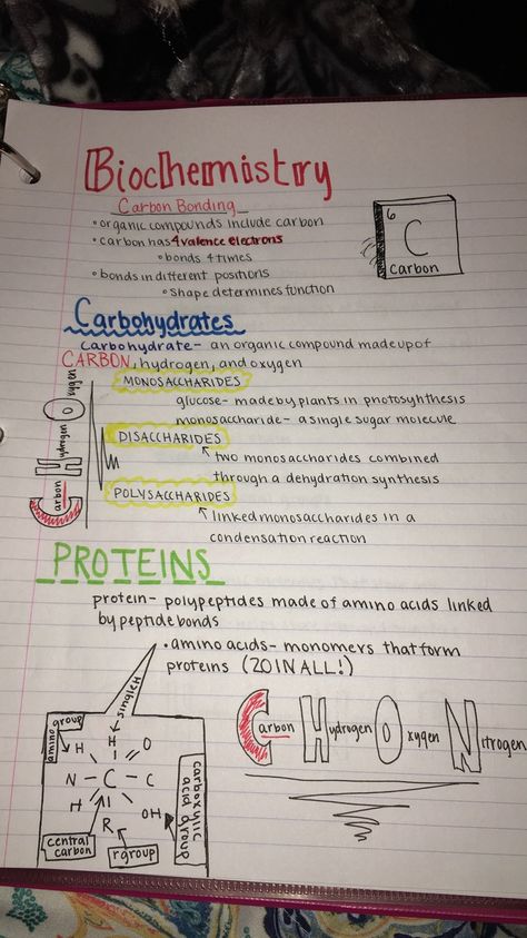 biochemistry notes pre ap biology Chemistry Of Life Biology, Biochemistry Aesthetic Notes, Bsc Biotechnology Notes, Biomolecules Notes Chemistry, Ap Biology Notes Aesthetic, Biomolecules Notes Biology, Biochemistry Aesthetic, Ap Biology Notes, Nutritional Biochemistry