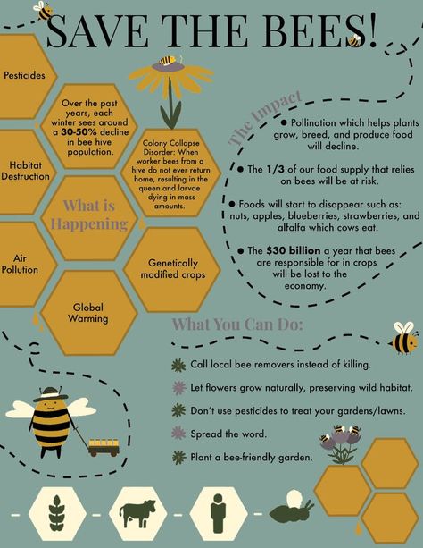 Bee Infographic, Pollinators Poster, Honey Bee Facts, Honey Bees Keeping, Bee Classroom, Bee Hotel, Worker Bee, I Love Bees, Architecture Presentation Board