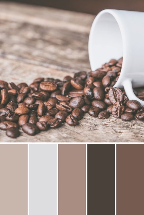 Coffee Color Palettes, This Growing Home, thisgrowinghome.com, inspiration, home decor, interior design Coffee Pallete Color, Coffee Colour Palette, Coffee Color Palette, Coffee Mural, Coffee Photoshoot, Chocolate Store, Color Palette Interior Design, Spavaća Soba, Chocolate Stores