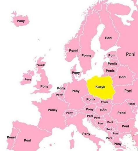 Language Jokes, Poland Krakow, Polish Memes, Polish Language, Losing Faith In Humanity, True Memes, Text Jokes, Gdansk, Krakow