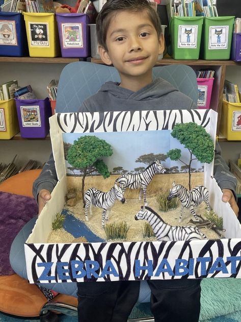 Zebra Habitat Diorama, Giraffe Diorama, Zebra Habitat, Giraffe Project, Habitat Project, Diorama Project, Habitats Projects, Animal Habitat, Lego Books