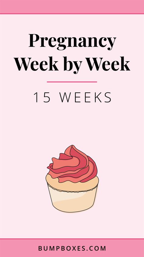 11 Week Baby Bump, 15 Weeks Pregnant Bump, 15 Week Baby Bump, 4 Months Pregnant Belly, 15 Weeks Pregnant Belly, Pregnant Ultrasound, Pregnant Bump, Bump Box, 5 Weeks Pregnant