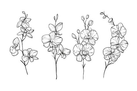 Free vector hand drawn orchid  illustrat... | Free Vector #Freepik #freevector Orchid Flower Tattoos, Sweet Pea Tattoo, Orchid Illustration, Orchid Drawing, Orchid Tattoo, April Birth Flower, Muster Tattoos, Daisy Tattoo, Tattoo Now