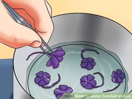 Image titled Make Candied Violets Step 10 Candied Violets, Iridescent Decor, Candy Stores, Egg White Recipes, Edible Flowers Recipes, Date Bars, Liquid Sugar, Foraging Recipes, Desserts With Biscuits