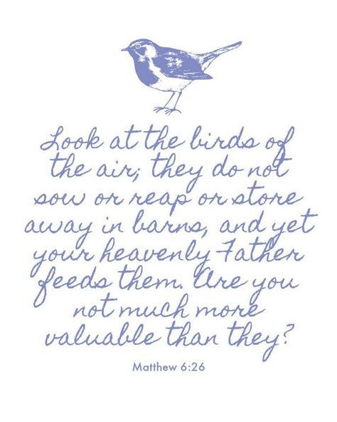 God Provides Quotes, Farewell Cookies, Consider The Birds Scripture, Sparrow Bible Verse, Bible Verse About Sparrows, Birds Of The Air Scripture, Bird Bible Verse, Bible Verse Birds, Scriptures About Birds