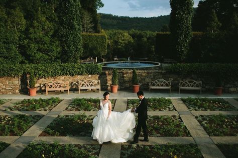 Asheville Nc Wedding, Craggy Gardens, Wedding Venues North Carolina, Wedding Mountain, Garden Wedding Reception, How To Elope, Asheville Wedding, Garden Wedding Venue, Wedding Reception Locations